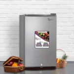 Roch 90L Single Door Refrigerator (Model RFR-120S)